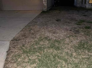 Leaf Removal by Timothy Cardinal for Bettie M. in Converse, TX