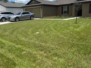 Claudia R.'s Lawn Maintenance service result