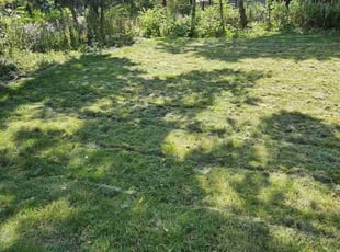 Eric A.'s Lawn Maintenance service result