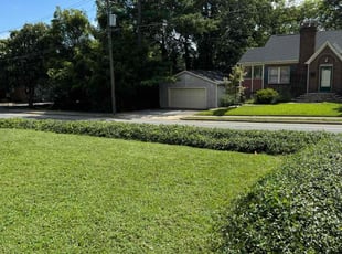 Bush Trimming by Terrance Flowers for Hunter B. in Charlotte, NC
