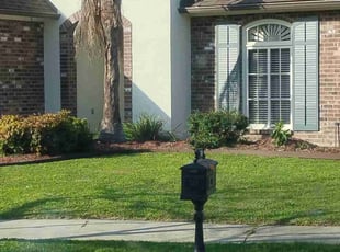 Kimberly C.'s Yard Cutting service result