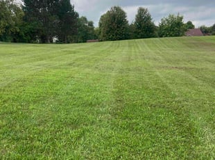 Shawnette I.'s Grass Cutting service result