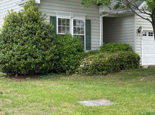 Bush Trimming by Ashley Dawson for Tracy W. in Fredericksburg, VA