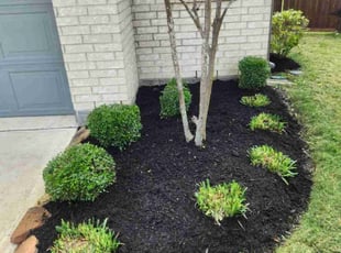 Bush Trimming by Billy Foster for Alan M. in Rosharon, TX