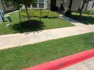 Renee N.'s Lawn Maintenance service result