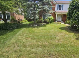 Elana H.'s Lawn Care service result