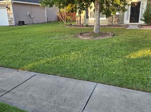 Betty W.'s Lawn Mowing Service service result