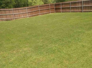 Rick W.'s Grass Cutting service result