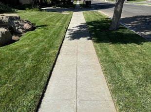 Cathie S.'s Lawn Mowing service result