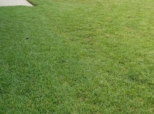Terence S.'s Lawn Service service result