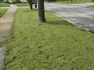 Rebecca L.'s Lawn Mowing service result
