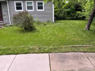 Renee S.'s Lawn Mowing service result