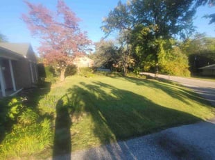 John H.'s Lawn Mowing Service service result