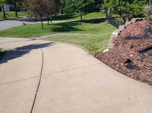 carmen m.'s Lawn Service service result