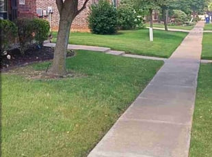 Kaylee C.'s Yard Cutting service result
