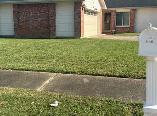 Sadie W.'s Lawn Service service result