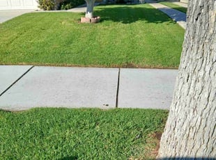 Amanda N.'s Lawn Service service result