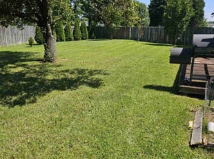 Broderick L.'s Lawn Service service result