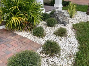 Bush Trimming by Kristian Bergman for Nick S. in Orlando, FL