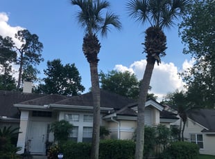 Yvonne B.'s Lawn Service service result