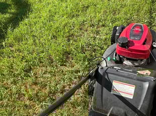 Weeding by Alesandre Duarte for Emmett W. in Sterling, VA