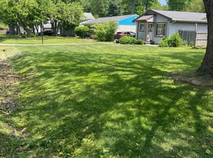 James c.'s Lawn Mowing Service service result