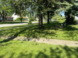 Greg D.'s Grass Cutting service result