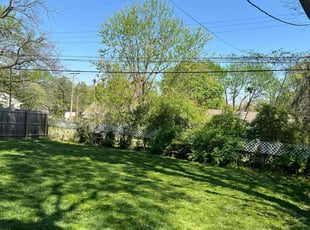 Lisa H.'s Yard Cutting service result