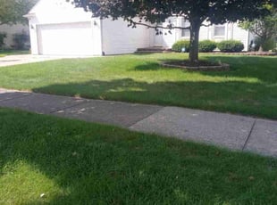 Terri L.'s Lawn Mowing service result