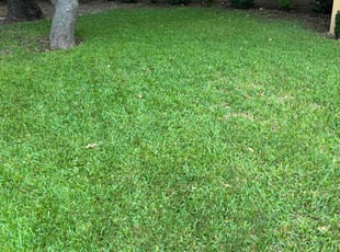 jimmy m.'s Lawn Service service result