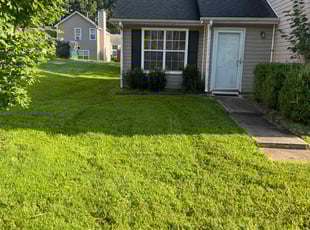 Patricia B.'s Lawn Mowing service result