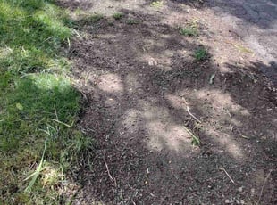 Cleanups by Michael Martin for Ronda B. in Grove City, OH