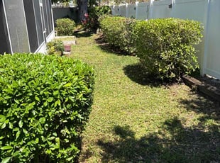 David J.'s Lawn Mowing Service service result