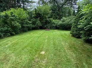 Terry F.'s Lawn Mowing service result