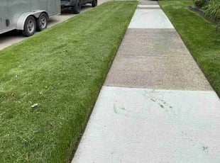 Linda W.'s Yard Cutting service result