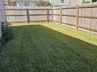 Iona D.'s Grass Cutting service result