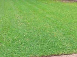 Qarlano C.'s Lawn Service service result