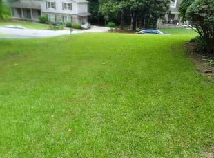 Raymond M.'s Lawn Mowing service result