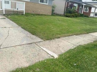 Michael N.'s Lawn Service service result