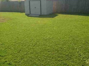 Summer D.'s Grass Cutting service result