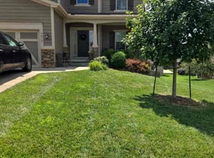 Dorothy M.'s Lawn Mowing service result