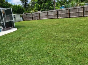 Carol W.'s Lawn Maintenance service result