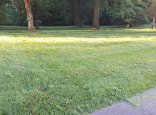 Sarah R.'s Grass Cutting service result