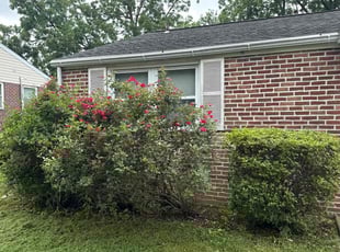 Bush Trimming by Haley Sutter for Jackie S. in King of Prussia, PA