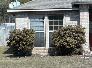 Bush Trimming by Travis Frederickson for Avery H. in Navarre, FL