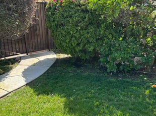 Khimen C.'s Lawn Care service result