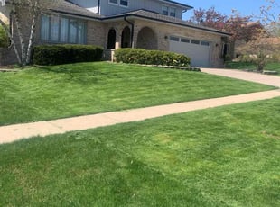 Christopher S.'s Grass Cutting service result