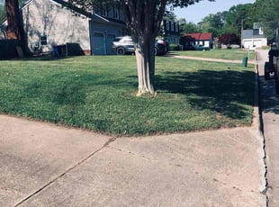 Jon T.'s Lawn Care service result