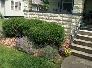 Bush Trimming by Elisha Nelson for Margaret F. in Columbus, OH