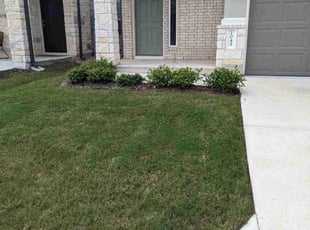 Dennis M.'s Yard Cutting service result
